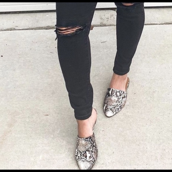 Seychelles Shoes - Seychelles Impersonate Mule